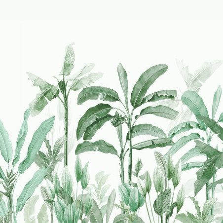 Tropical Wallpaper